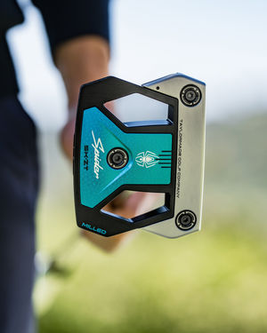 Image post by @taylormadeausnz on Instagram