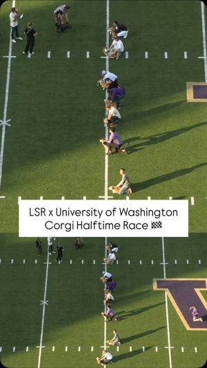 Video post by @littlestumpsracing1 on Facebook