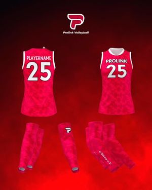 Video post by @PLAvolleyball on Facebook
