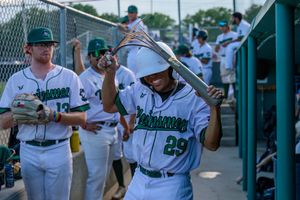 Image post by @lizagazaryanphotography on Instagram