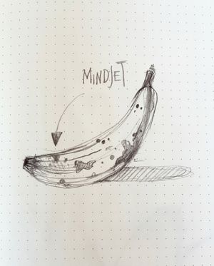 Image post by @olesja_reiser on Instagram