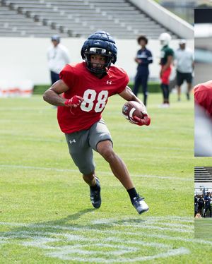Image post by @gojsutigersfb on Instagram