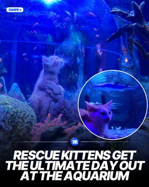 Image post by @dailymail on Instagram