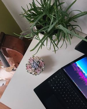 Image post by @tringacodes on Instagram