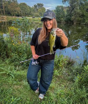 Image post by @profishiency on Instagram