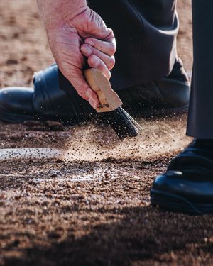 Video post by @alybaylissphotography on TikTok