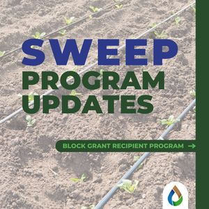 Image post by @wiseconn on Instagram