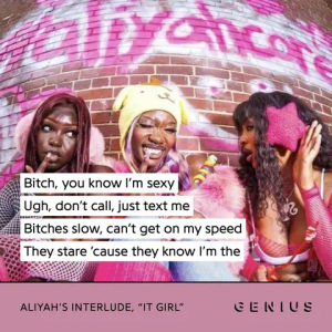 Image post by @genius on TikTok