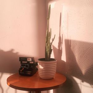 Image post by @walterpachecoo on Instagram