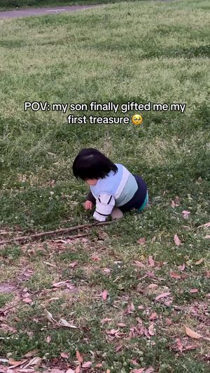 Video post by @sliang95 on TikTok