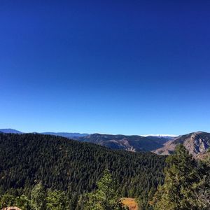 Image post by @creative_moxie on Instagram