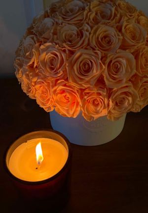 Video post by @ana.learmann on TikTok