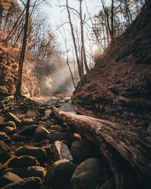 Image post by @kyle_petersen21 on Instagram
