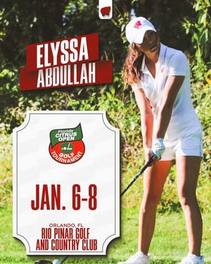 Image post by @badgerwgolf on Instagram