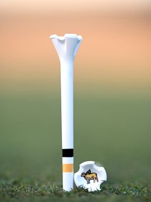Image post by @evolvegolf on Instagram