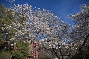 Image post by @wsupullman on Instagram