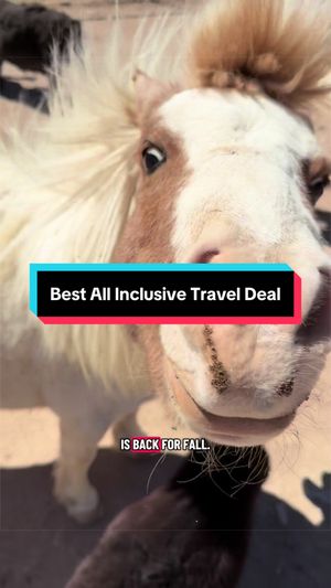 Video post by @vegasstarfish on TikTok