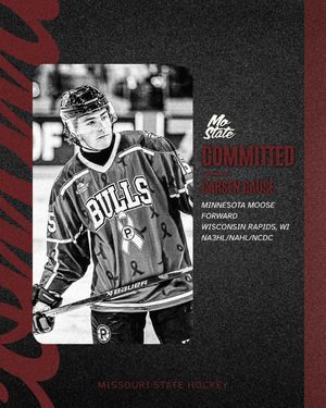 Image post by @mostatehockey on Instagram