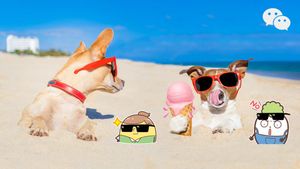 Image post by @WeChatApp on Twitter