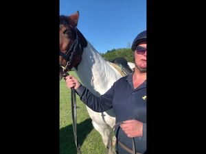 Image post by @nzhorseambulancetrust on Facebook