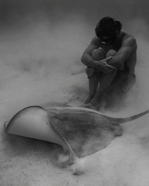Image post by @sealegacy on Instagram