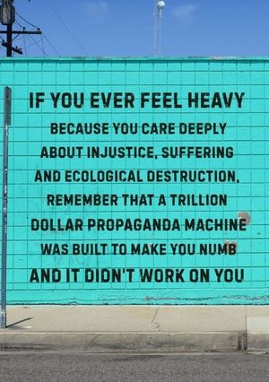 Image post by @greenpeace on Instagram