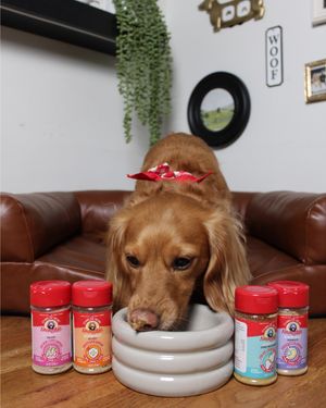 Image post by @charlee_bear_dogtreats on Instagram