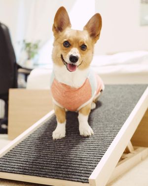 Image post by @aircorg on Instagram