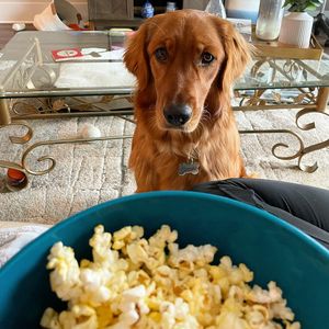 Image post by @pancake.thegolden on Instagram