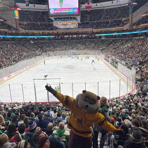 Image post by @goldythegopher on Instagram