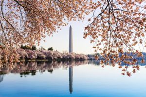 Image post by @HiltonHotels on Twitter