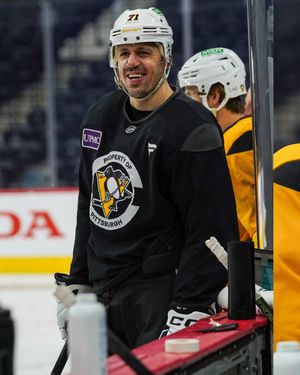 Image post by @penguins on Instagram
