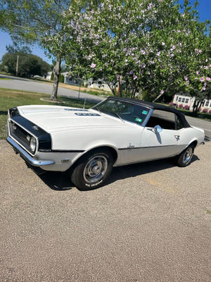 Video post by @barrettjacksontv on TikTok