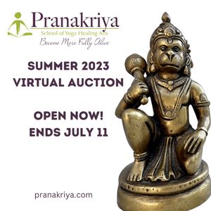 Image post by @pranakriya on Instagram