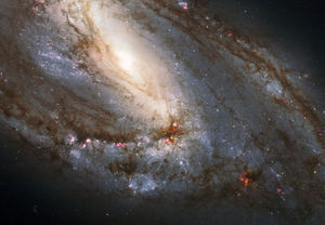 Image post by @hubbleesa on Instagram