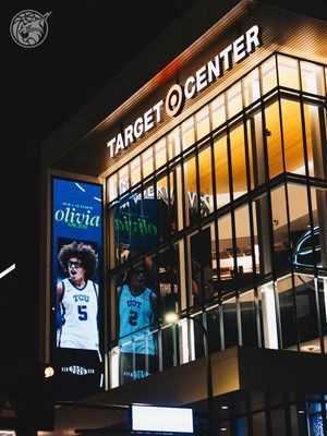 Image post by @minnesotalynx on Instagram