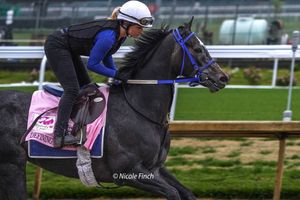 Image post by @fanduel_racing on Instagram