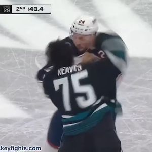 Image post by @hockeyfights on Instagram