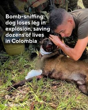 Image post by @cbsnews on Instagram