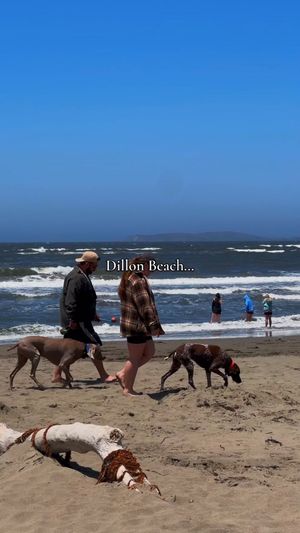 Video post by @dillonbeachresort on Facebook