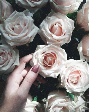 Image post by @kate.simple.life on Instagram