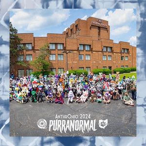 Image post by @evdalesio on Instagram