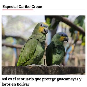 Image post by @fundacionloros on Instagram
