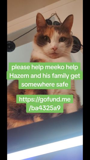 Video post by @crataeguscatkin on TikTok
