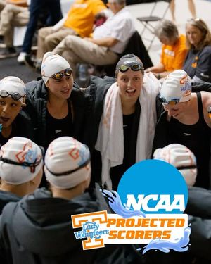 Image post by @vol_swimdive on Instagram