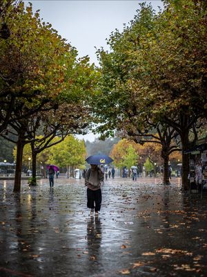 Image post by @ucberkeleyofficial on Instagram