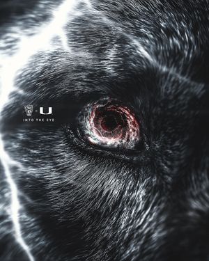 Image post by @packfootball on Instagram