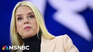 Video post by @msnbc on YouTube