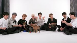 Image post by @buzzfeedpuppies on Twitter