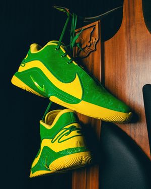 Image post by @goducks on Instagram